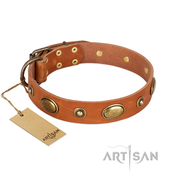 Easy wearing natural leather collar for your four-legged friend
