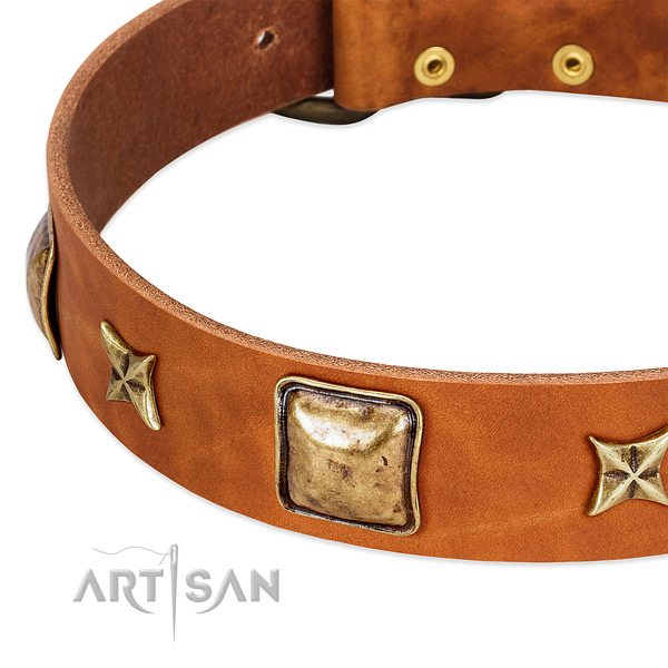 Durable D-ring on leather dog collar for your four-legged friend