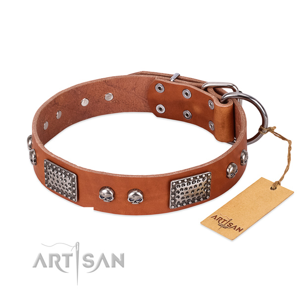 Easy wearing leather dog collar for everyday walking your pet