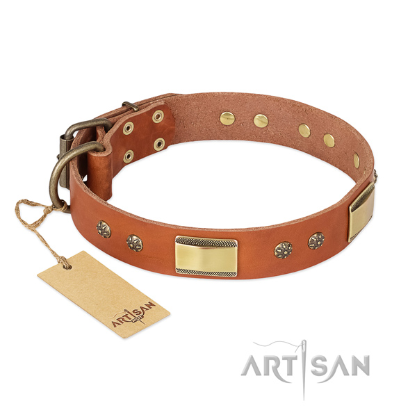 Extraordinary full grain genuine leather collar for your dog