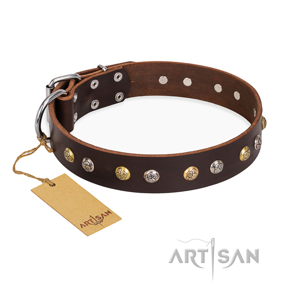 Daily walking handcrafted dog collar with strong buckle