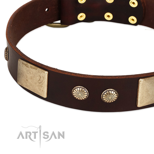 Rust-proof adornments on genuine leather dog collar for your dog