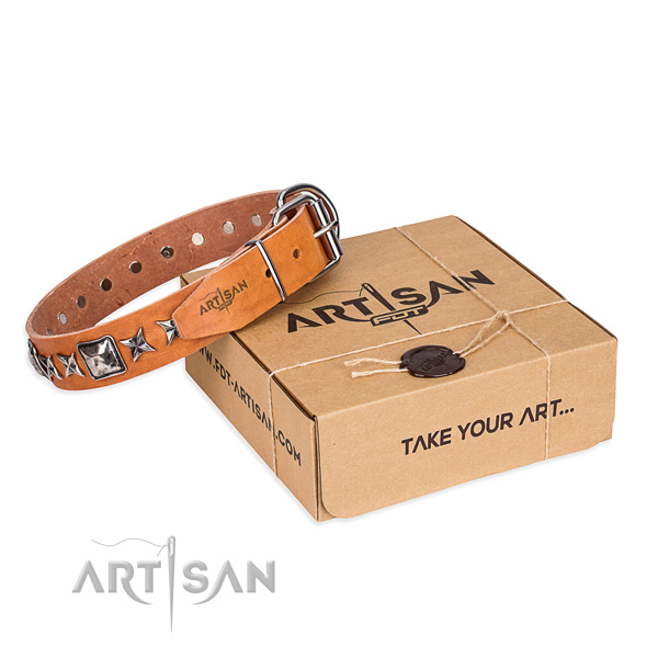 Daily walking full grain natural leather dog collar with adornments
