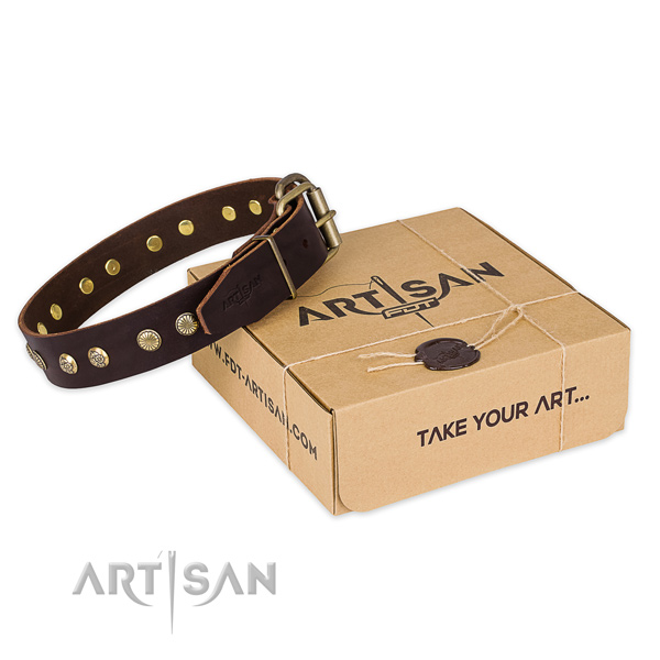 Reliable traditional buckle on genuine leather collar for your stylish canine