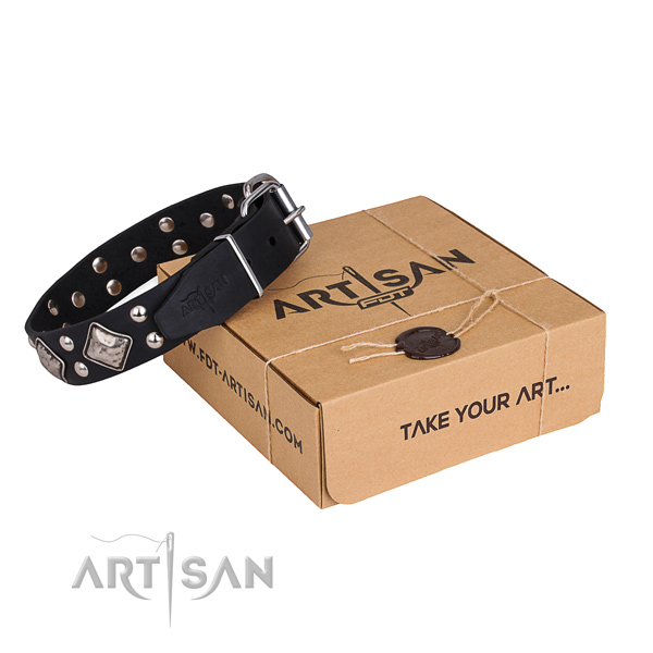 Fancy walking dog collar with Trendy rust resistant embellishments