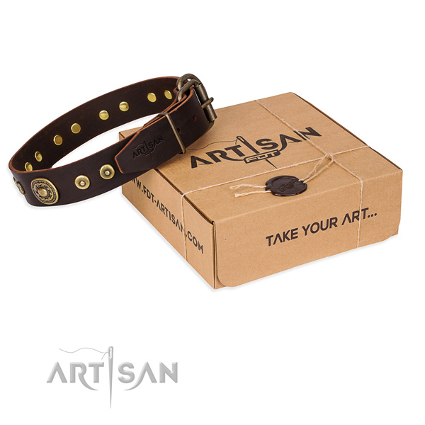 Full grain leather dog collar made of reliable material with reliable hardware
