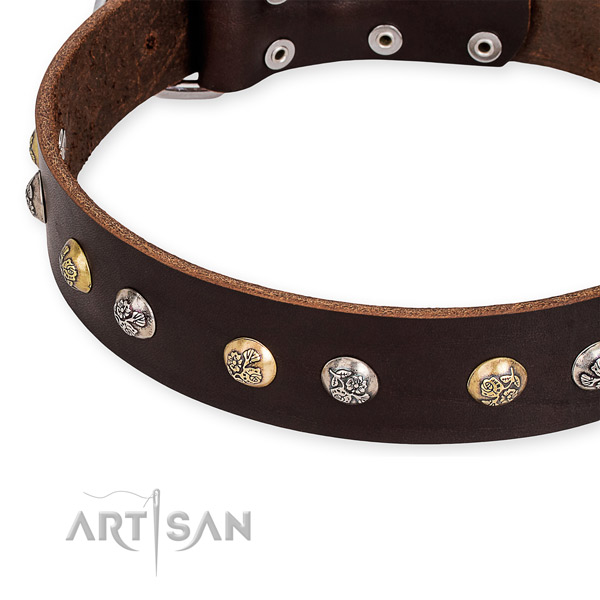 Natural genuine leather dog collar with stylish strong adornments