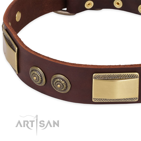 Handcrafted full grain natural leather collar for your attractive doggie
