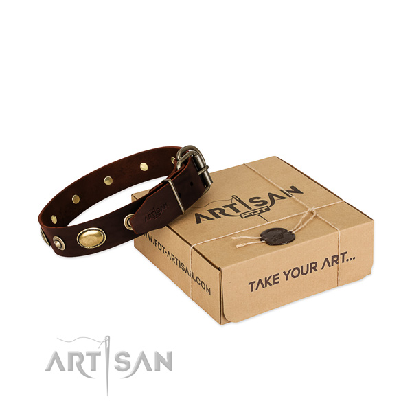 Rust-proof fittings on natural leather dog collar for your pet