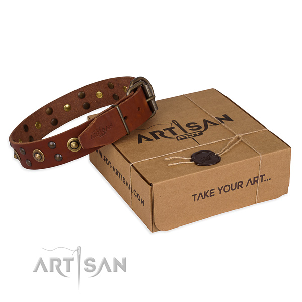 Corrosion proof buckle on genuine leather collar for your attractive four-legged friend