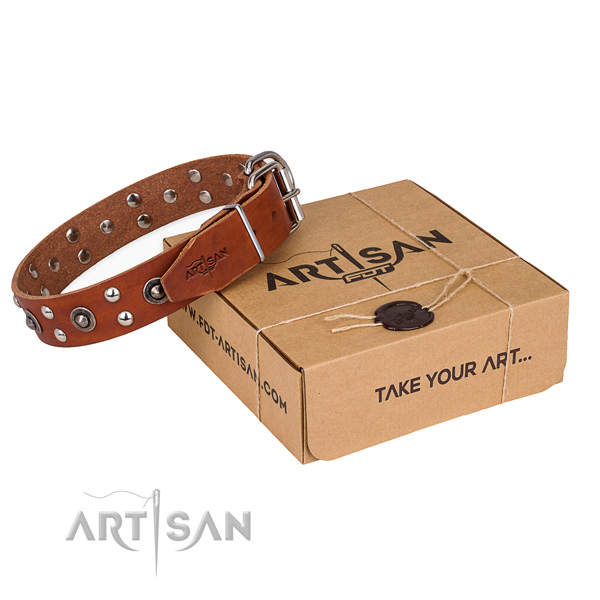 Reliable traditional buckle on full grain leather collar for your handsome doggie