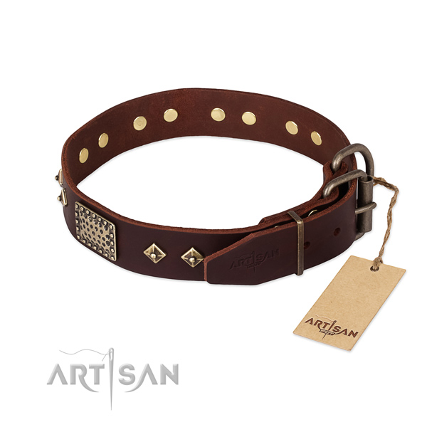 Full grain natural leather dog collar with corrosion proof hardware and studs