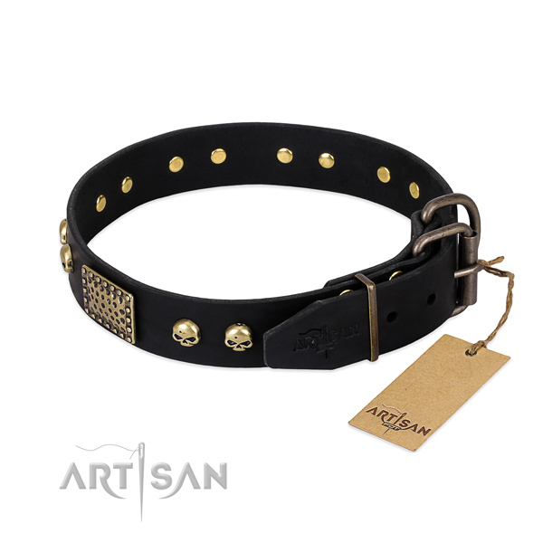 Strong fittings on daily walking dog collar