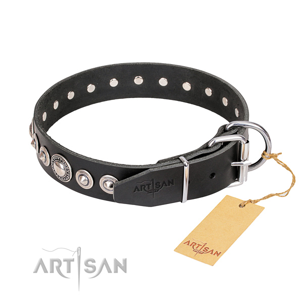Best quality adorned dog collar of natural leather