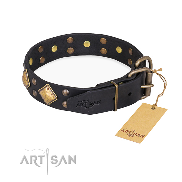 Full grain genuine leather dog collar with exceptional rust resistant studs