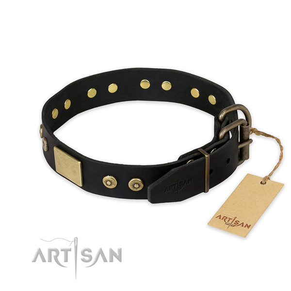 Reliable hardware on full grain leather collar for stylish walking your canine