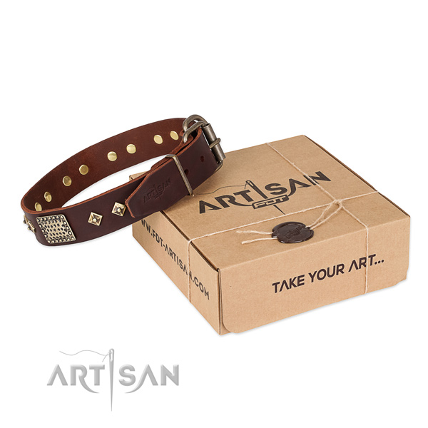 Convenient full grain natural leather collar for your stylish four-legged friend