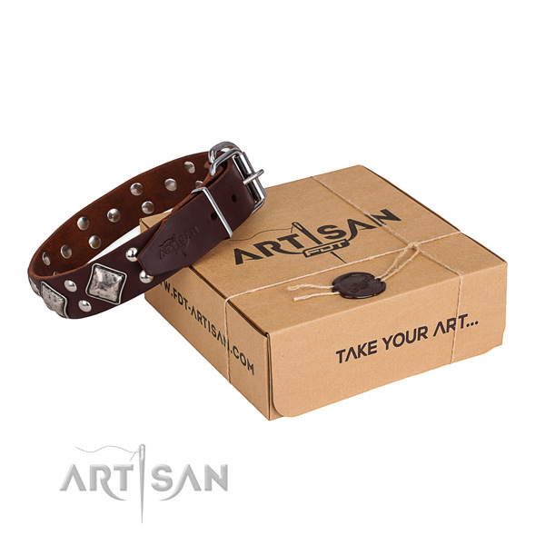 Fancy walking dog collar with Stylish rust-proof decorations
