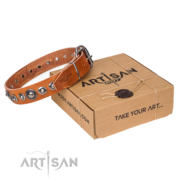Full grain leather dog collar made of soft material with rust resistant traditional buckle