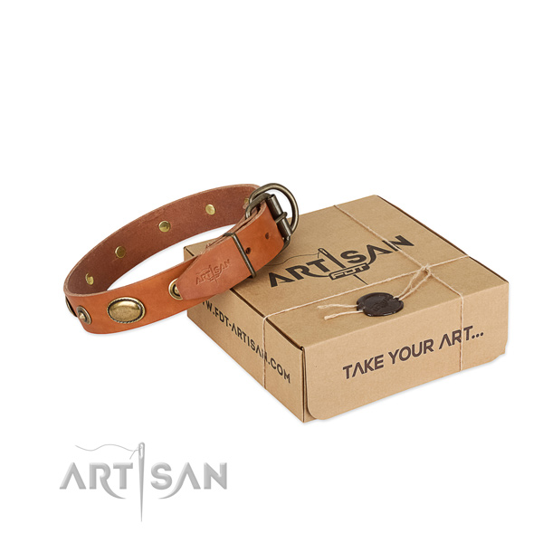 Durable studs on natural leather dog collar for your canine