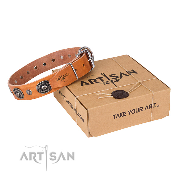 Strong full grain genuine leather dog collar crafted for everyday walking