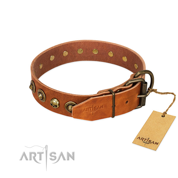 Full grain leather collar with significant embellishments for your pet
