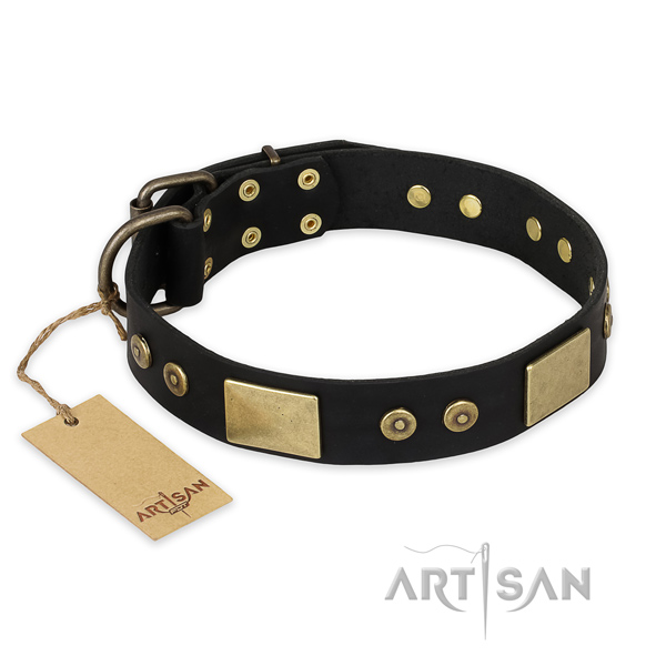 Fashionable leather dog collar for everyday walking