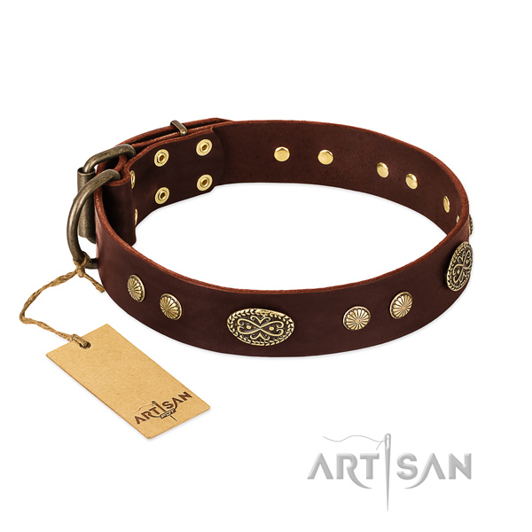 Rust-proof embellishments on full grain leather dog collar for your canine