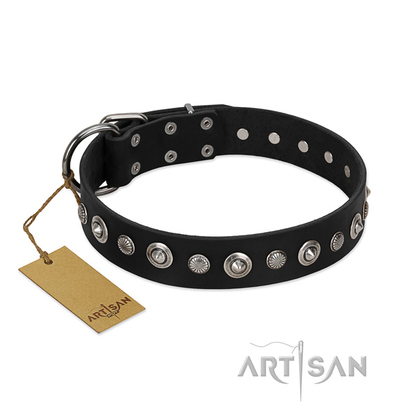 Finest quality full grain leather dog collar with awesome embellishments