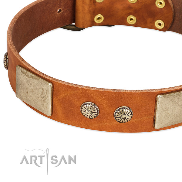 Corrosion proof fittings on natural genuine leather dog collar for your canine
