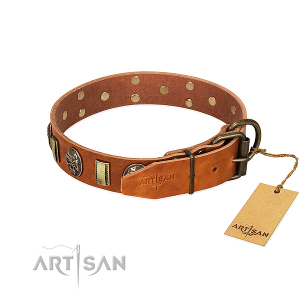 Full grain natural leather dog collar with corrosion proof traditional buckle and studs