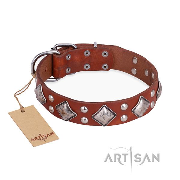 Fancy walking amazing dog collar with reliable traditional buckle