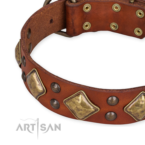 Leather collar with corrosion proof buckle for your lovely four-legged friend