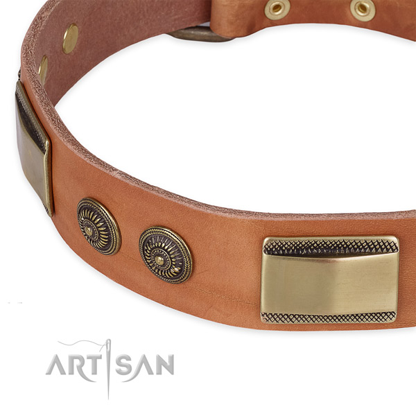 Corrosion resistant traditional buckle on leather dog collar for your four-legged friend