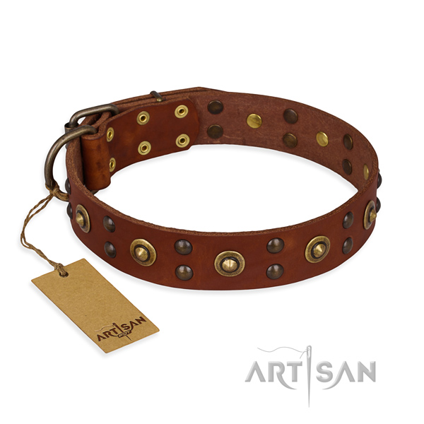 Stylish design genuine leather dog collar with reliable D-ring