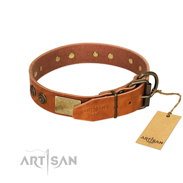 Strong traditional buckle on full grain genuine leather collar for walking your canine