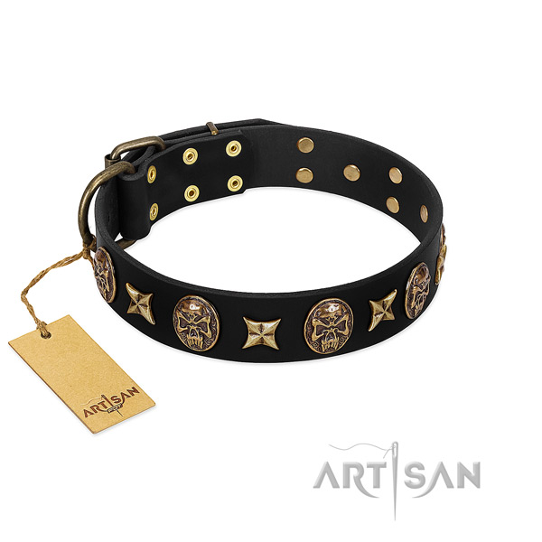 Adorned leather collar for your pet