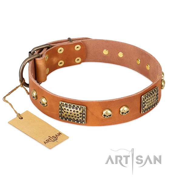 Adjustable full grain leather dog collar for stylish walking your dog