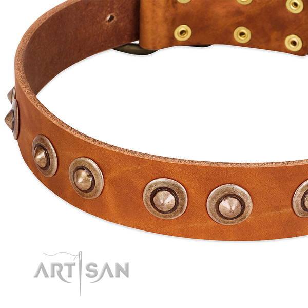 Durable buckle on full grain genuine leather dog collar for your canine