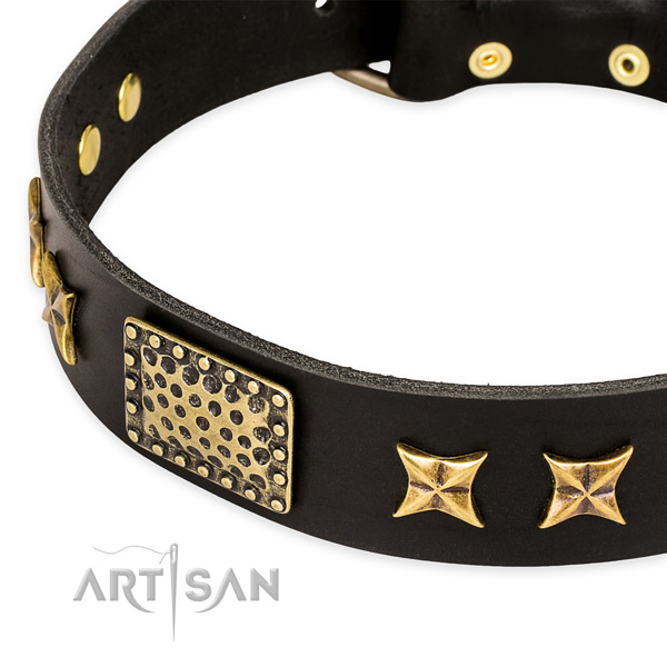 Full grain natural leather collar with strong traditional buckle for your handsome pet