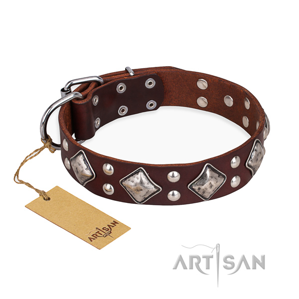Everyday use handmade dog collar with durable fittings