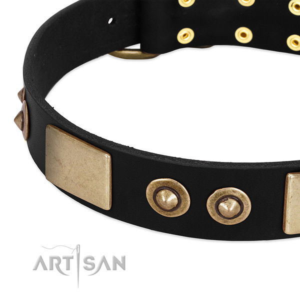 Corrosion proof buckle on leather dog collar for your dog