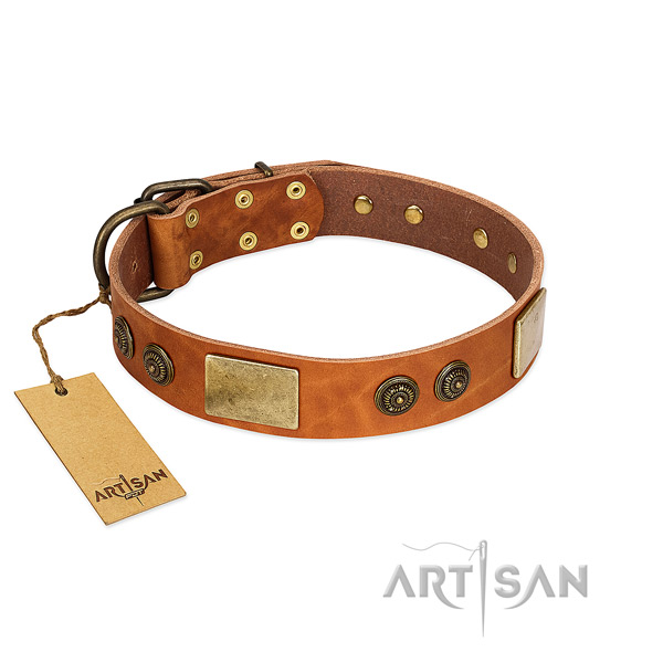 Best quality full grain genuine leather dog collar for comfortable wearing