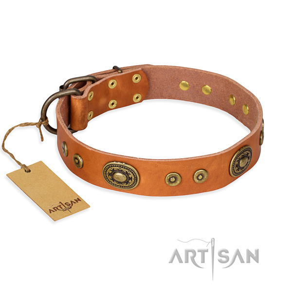 Full grain leather dog collar made of high quality material with corrosion resistant traditional buckle