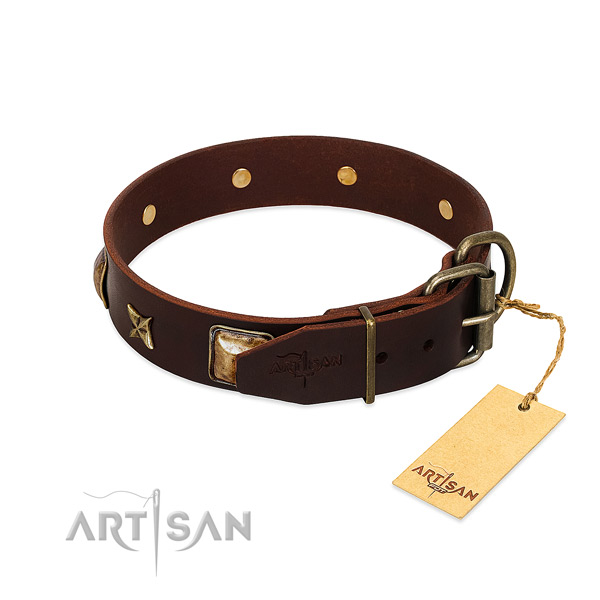 Leather dog collar with strong buckle and studs