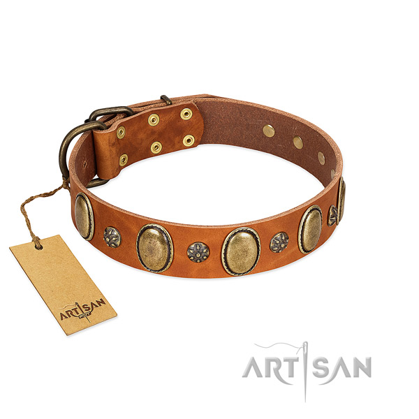 Walking top rate leather dog collar with decorations