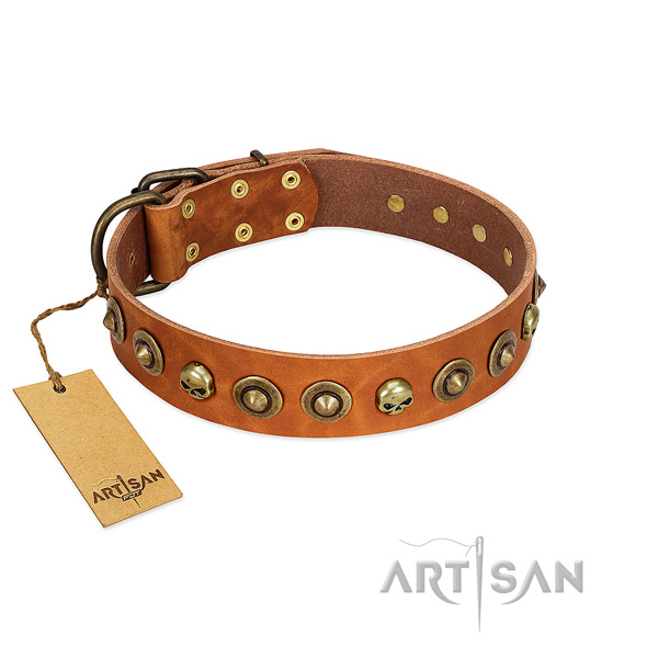 Full grain leather collar with trendy adornments for your doggie