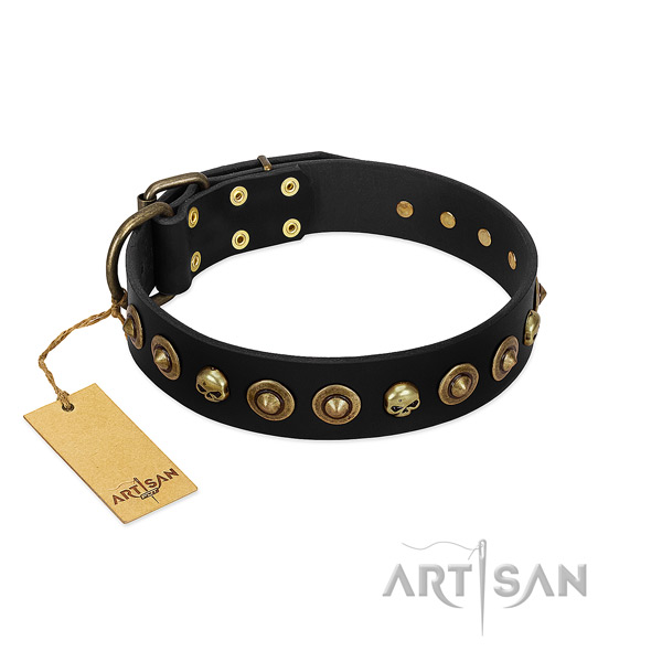 Genuine leather collar with awesome embellishments for your doggie
