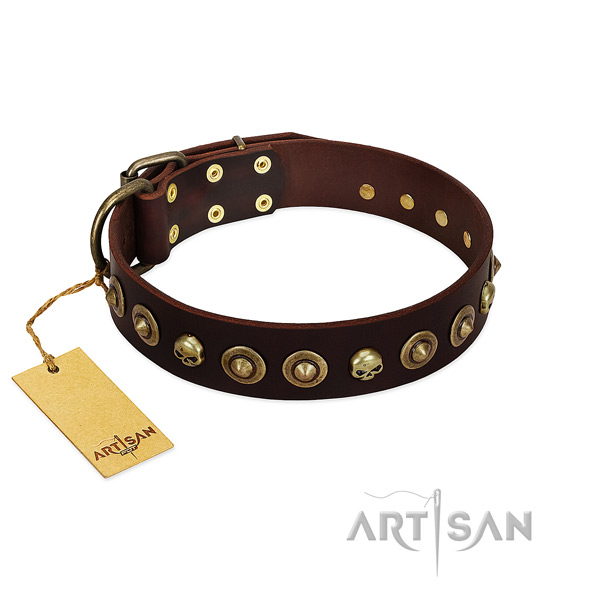 Full grain genuine leather collar with stylish design embellishments for your canine
