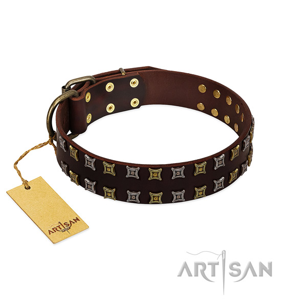 Durable full grain natural leather dog collar with adornments for your canine